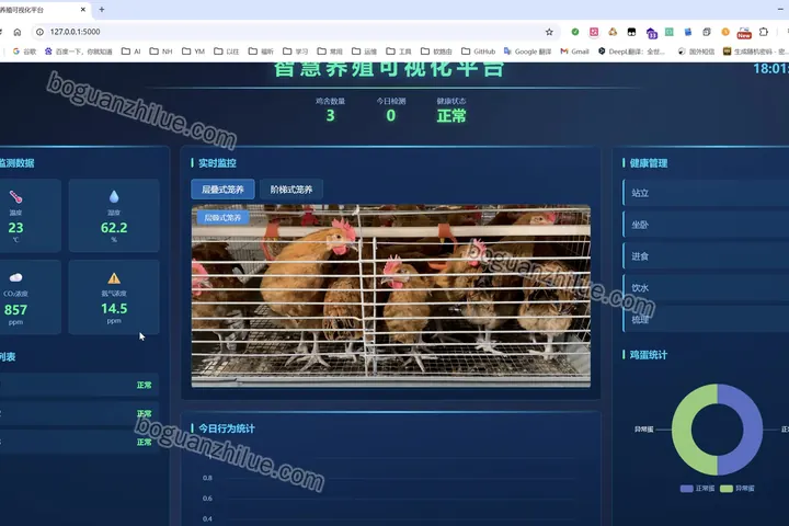 基于深度学习的笼养鸡监测算法研究项目截图