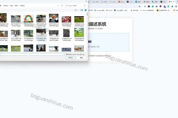 基于深度学习的图像文本描述算法研究与应用项目截图