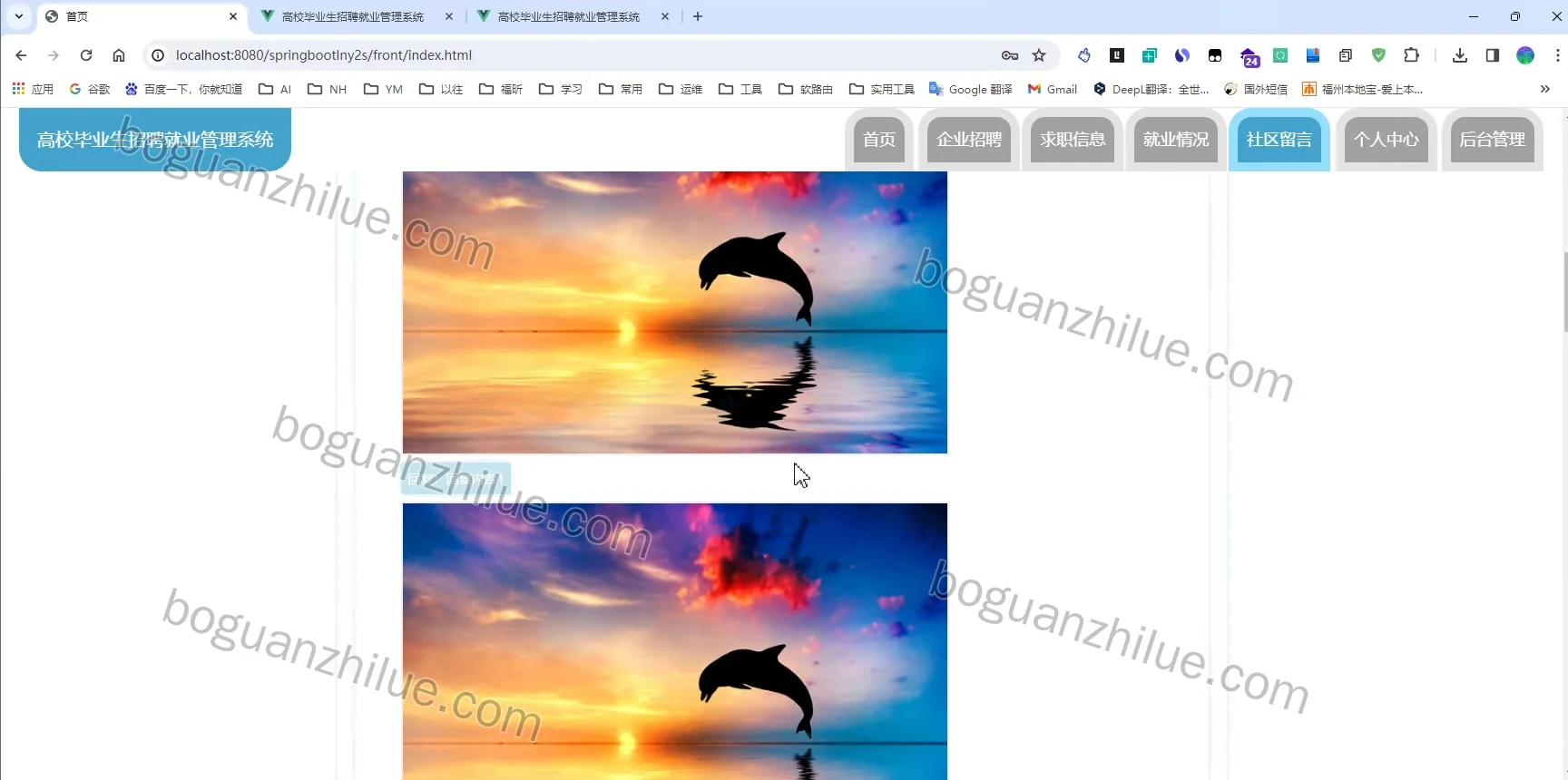 基于springboot的高校毕业生招聘就业管理系统的设计与实现项目截图 5